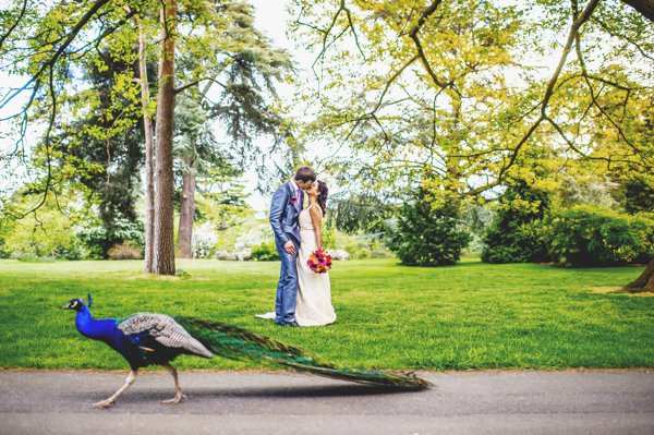 Ross Harvey Photography Best Wedding Photographer The Wedding Industry Awards 2013_005